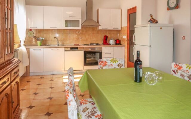 Mirjana (LBN312) 40625