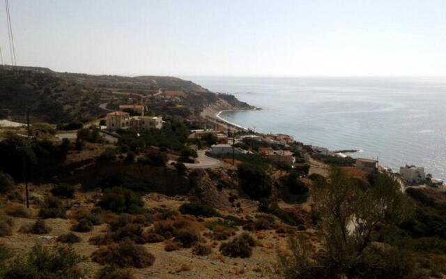 Antonis's Palm House