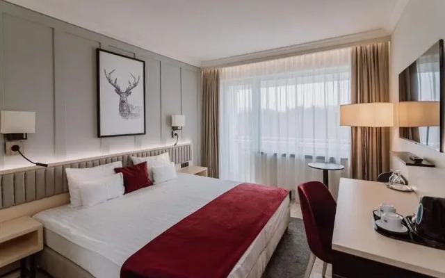 Sovata Ensana Health Spa Resort RQ
