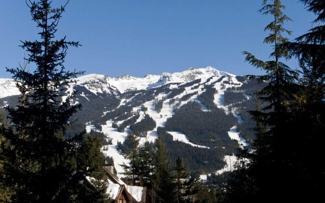 Luxury 5 Bedroom Blueberry Chalet