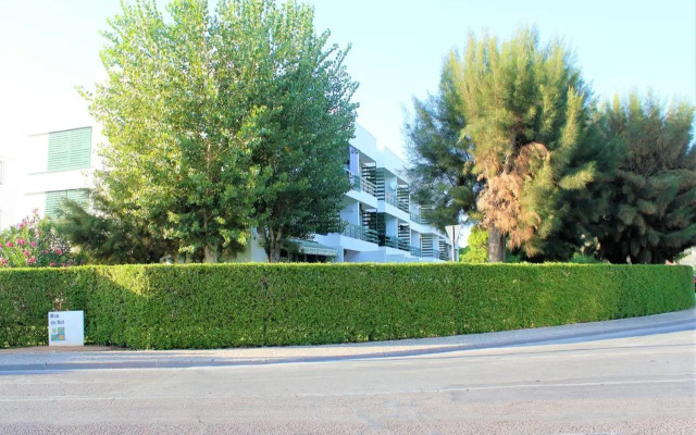 Vilamoura Dolphin Studio