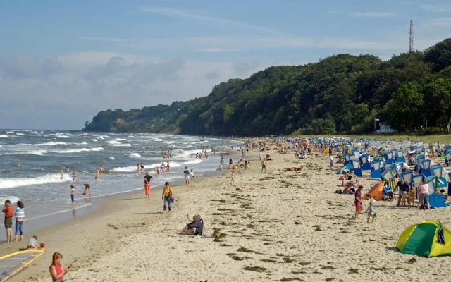 Wohnung 5 Haus Borgwardt