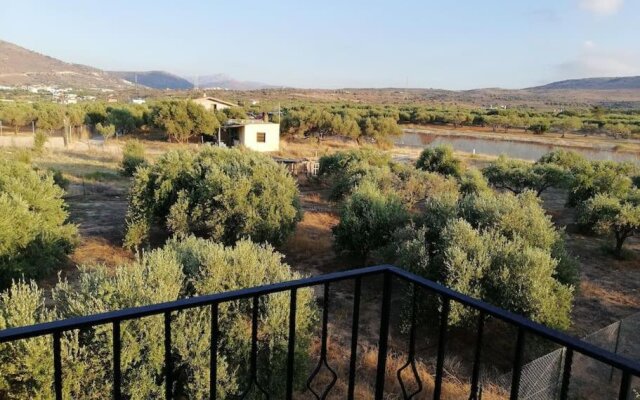 Olive grove with sea view, 20' walk to the beach