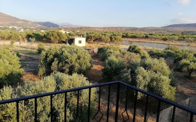 Olive grove with sea view, 20' walk to the beach