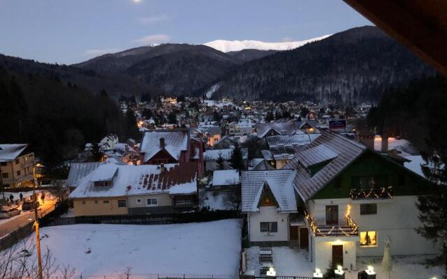 Apartament Andy Busteni 30 m de partie