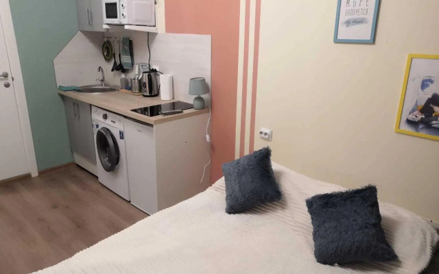 Apartments on line 14 of Vasilyevsky Island 97