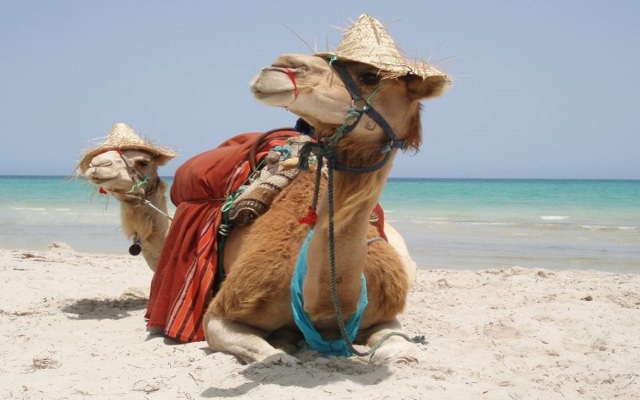 Djerba Sun Beach Hotel and Spa
