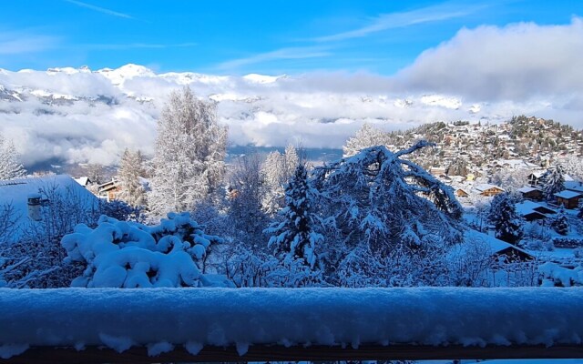 Chalet Les An Mones Chalais