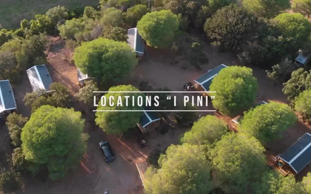 Palombaggia location i pini