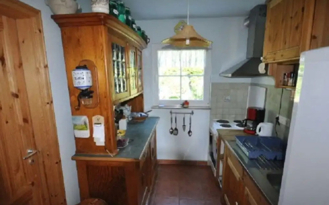 Red-throated Diver Modern Retreat