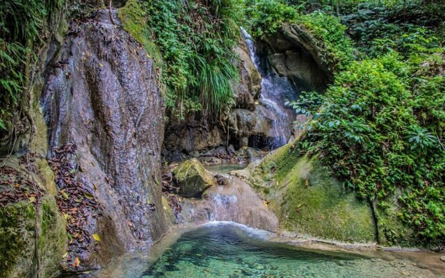 The Hamilton's Nature Villa