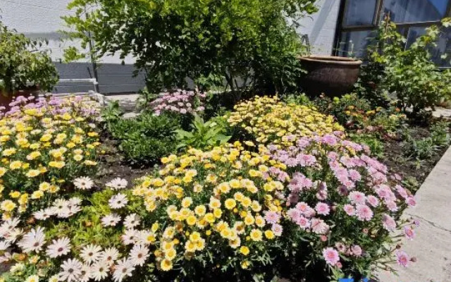 Xinyuan Dandan Shanshui Homestay