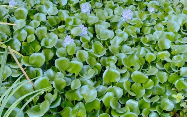 Yeosu Banditbul Hwangto Pension