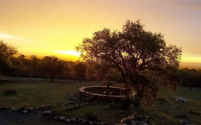 Cabañas Solar del Alto