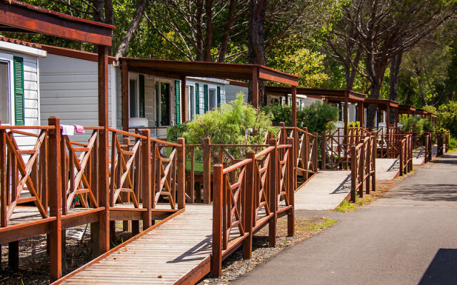 Cecina - Two Bedroom No.4