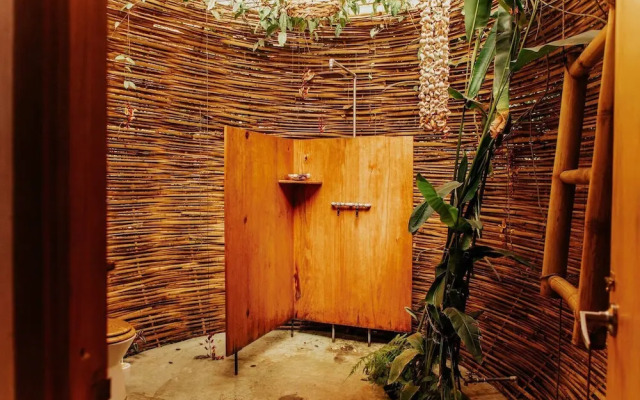 The Seed Habitat