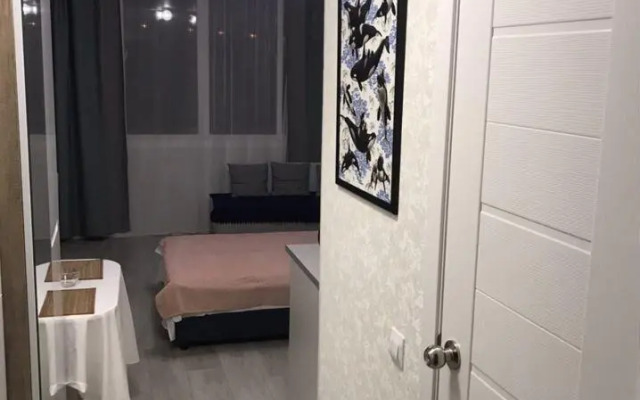 Апартаменты на улице Чехова 50