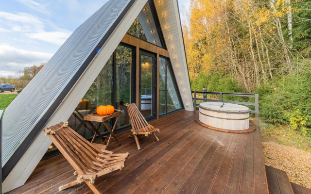 Pine Forest(Хвойный лес)