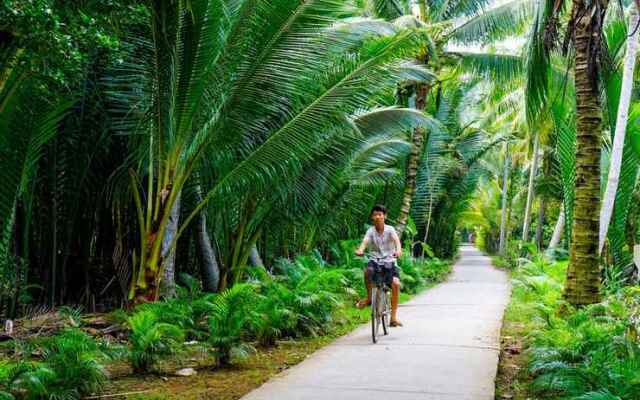 Bentre Coco Lodge