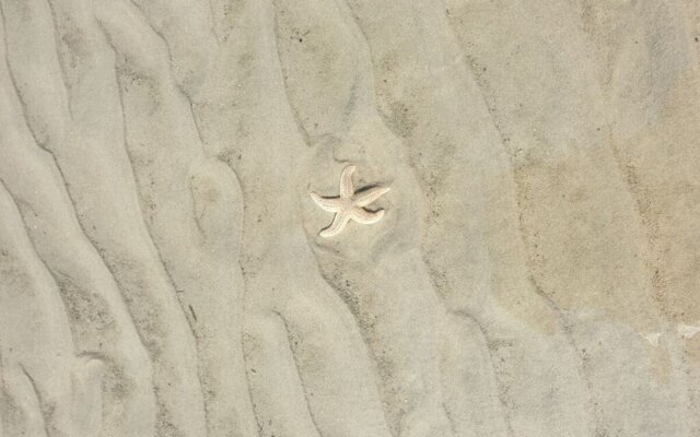 Red Sand Modern Retreat