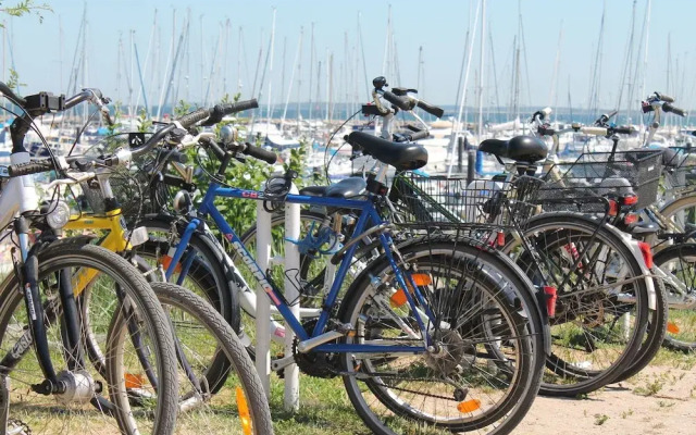 Comfortable Apartment in Steffenshagen with Garden