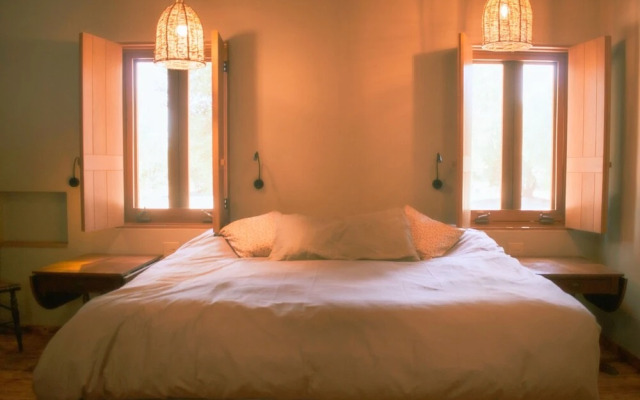 Alma Liebre Viñedos del Valle