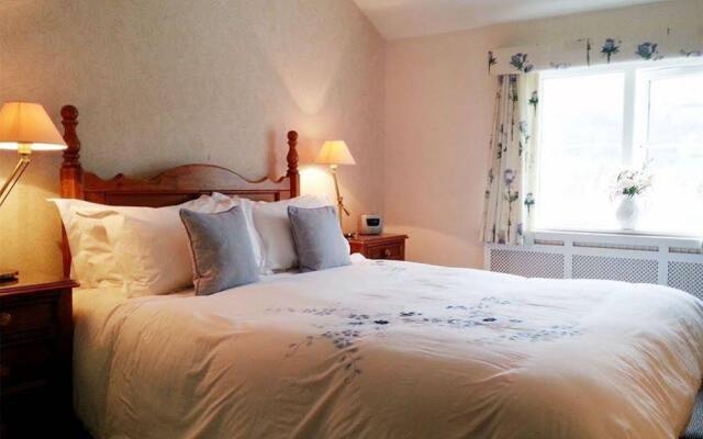 Tyn Y Wern Guest Accommodation