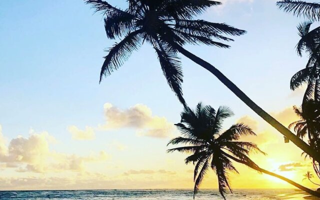 Playa Palmera Beach Resort