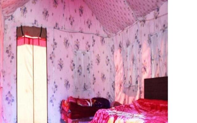 Camping at Serene Chopta