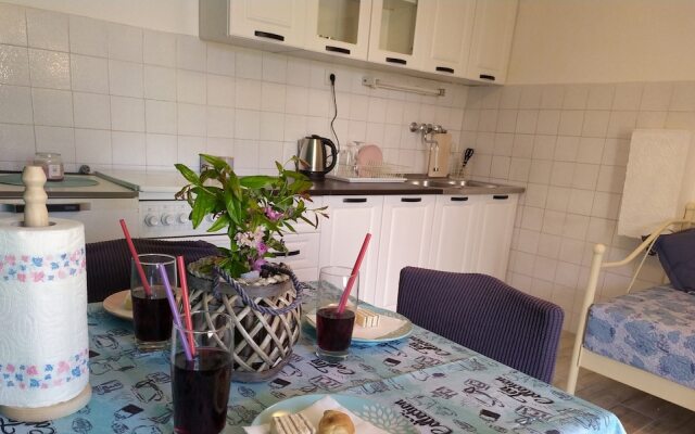 Apartments Pipunic