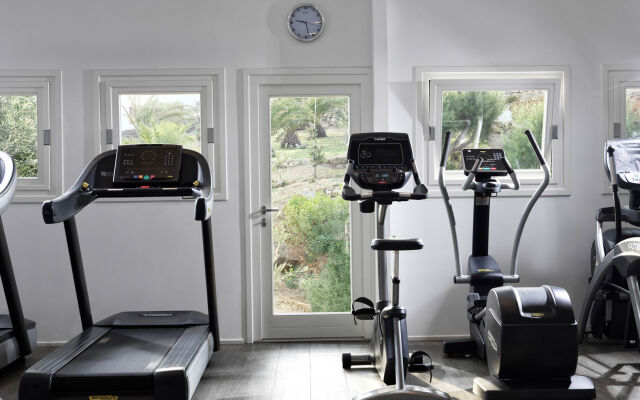 Отель Myconian Korali Relais & Chateaux