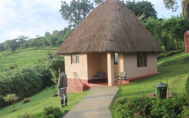 Chimpanzee Forest Guest House