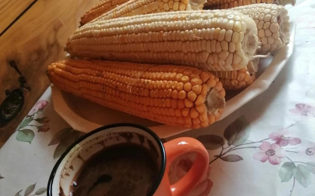 Apartmani Radivojevic