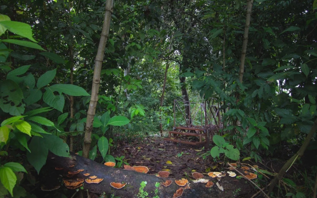 La Cotinga Biological Station