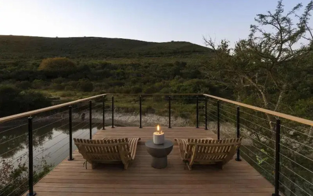 Shamwari Bayethe