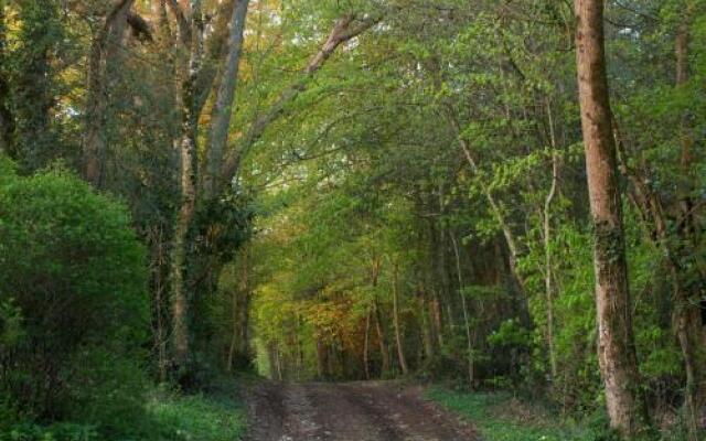 Proche Puy du Fou - Roches Blanches