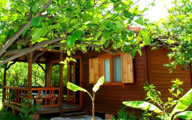 Baraka House