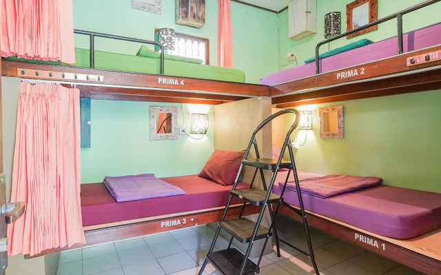 Padi-Padi Hostel & Bar