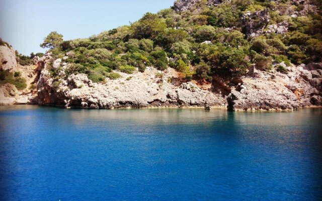 Olympos Deep Green Bungalows