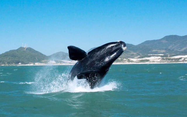 Pousada Mevlana Garden