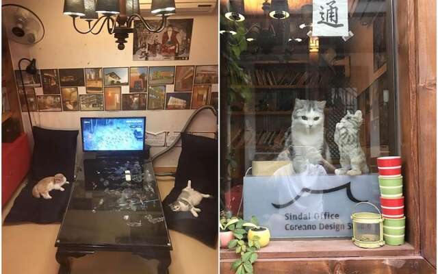 Gyeongju Shilla Moon Night Hanok Stay