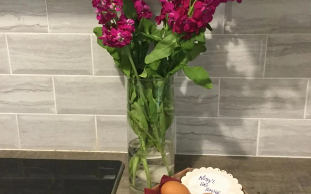 Rose Alley Apartment