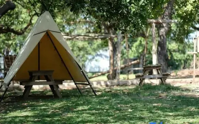 Tropical EGlamping