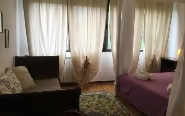 BB Casa Tomato