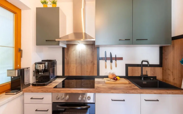 Great Apartment Near the ski Area