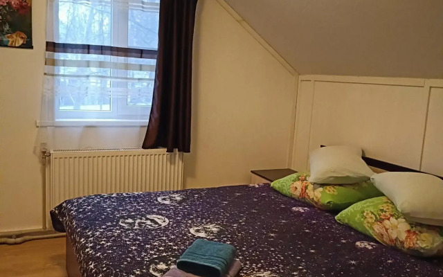 Guest house in Sosnovo