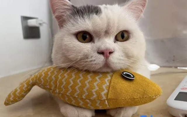 Lochte Hotel Apartment (Shishan Changhua International Branch)