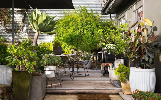 Hart Lane Beaux Haus