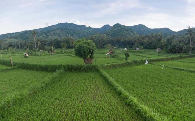 Tanaya Homestay