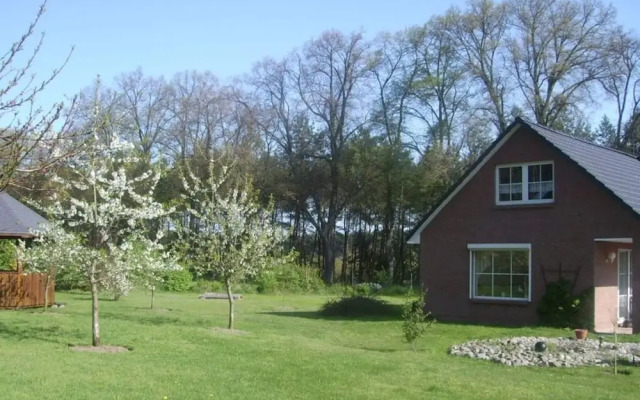 Schroder at the Aerie